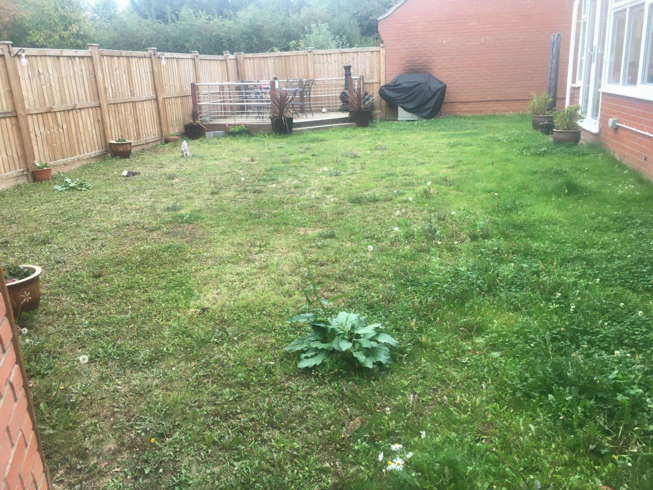 landscaper maldon essex